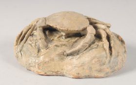 A TERRA COTTA CRAB 6ins long x 4ins wide.
