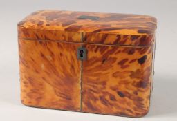 A REGENCY TWO DIVISION BLONDE TORTOISESHELL TEA CADDY. 6.75ins wide x 4.5ins high.