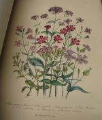 LOUDON (Mrs) Ladies' Flower-Garden of Ornamental Annuals, 4to, 12 only of 48 plates, cloth (spring