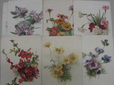 [BOTANY] PRICE (Alice) artist: 24 chromo plates, 34 x 25cms each, unframed (24).