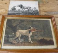 [DOGS] MARSHALL (B.) & TURNER (C.) 