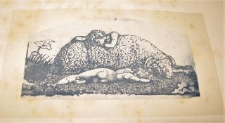 COLVIN (Sidney) Children in Italian and English Design, sm. 4to, 12 mounted photographs of art by