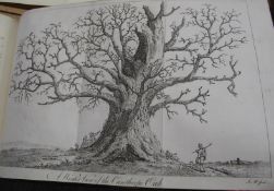 [TREES] EVELYN (J.) Silva: or a Discourse of Forest Trees, 4to, 2 vols. n 1, frontis. & 45 plates (