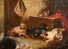 A. Norris (19th Century) British, three terriers rating in a barn, oil on canvas, signed, 9