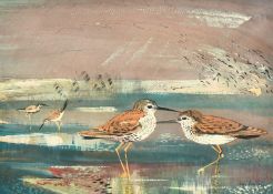 John Martin (20th Century) 'Red Shanks', watercolour and gouache, signed twice top and bottom,