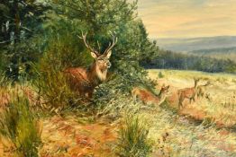 Wilhelm (Willi) Lorenz (1901-1981) German, A stag and hinds on the edge of a forest, oil on