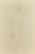 Kanwaldeep Singh Kang, signed Nicks (1964-2007) British, A full length female nude standing, pencil,