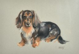 Margaret Palmer (b. 1922) British, a collection of five pastel portraits of dogs, four of them