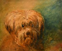 Samuel Bough (1822-1878) British, a head study of a dog, oil on board, signed and dated July 28