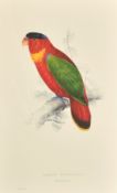 After Lear, a set of eight 20th Century colour lithographs of parrots, each 18.75