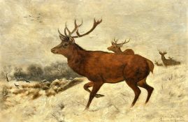 After Carl Friedrich Deiker, Early 20th Century, Stags in the snow, oil on canvas, indistinctly