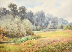 Lilian Stannard (1877-1944) British, A group of ducks on the bank of a pond at the edge of a field