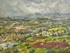 20th Century Continental School, a hillside landscape under breaking skies, oil on canvas,