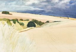 Peter Folkes (20th Century) 'Passing storm near Abingdon', watercolour, signed and dated '82, labels