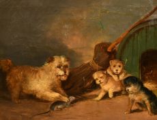 Circle of Armfield, 19th Century, a pair of oil on canvas scenes of terriers ratting in a barn, each