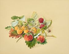19th Century School, a watercolour study of strawberries and raspberries, 7
