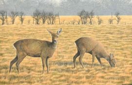 Simon Turvey (b.1957) British, two deer in a landscape, gouache, signed, 8