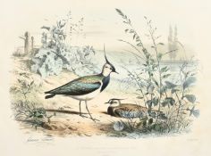 Edouard Travies (19th Century) French, 'Le Venneau', hand-coloured lithograph, 13.75