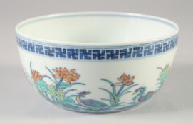 A CHINESE DOUCAI PORCELAIN BOWL, painted with birds and flora, six-character mark to base, 16cm