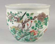 A LATE 19TH CENTURY CHINESE FAMILLE VERTE PORCELAIN JARDINIERE, painted with a bird and flora,