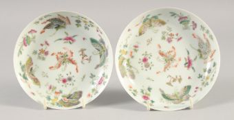 A PAIR OF CHINESE FAMILLE ROSE PORCELAIN BUTTERFLY SAUCERS, six-character mark to base, 13.5cm