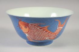 A CHINESE POWDER BLUE AND CORAL RED PORCELAIN BOWL, the exterior painted with fish, 20.5cm