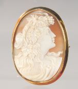 A LARGE GOLD MOUNTED CAMEO BROOCH. 6.5cm high.