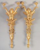 A GOOD PAIR OF GILT BRONZE CHERUB WALL LIGHTS 26ins long.