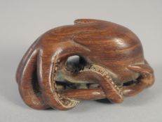 A JAPANESE CARVED WOOD OCTOPUS NETSUKE. Signed, 1.75ins.