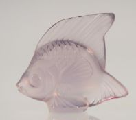 A SMALL LALIQUE GLASS FISH in original box. 2.5ins.