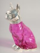 A CRANBERRY GLASS AND SILVER PLATED DOG CLARET JUG.