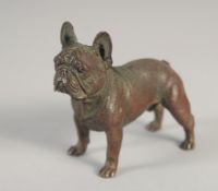 A SMALL AUSTRIAN BRONZE PUG DOG. 2.5ins long.