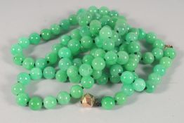 A LONG JADE BEAD NECKLACE WITH GOLD CLASP. 135cm long.