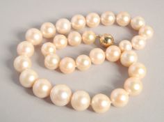 A ROW OF THIRTY ONE GRADUATED SOUTH SEA PEARLS with gold clasp.