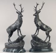 AFTER J. MOIGNIEZ. A SUPERB LARGE PAIR OF BRONZE STAGS