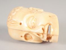 A SMALL CARVED BONE SKULL NETSUKE. 2ins