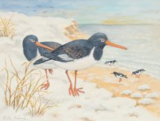 Ella Bruce (20th Century) Oystercatchers on the beach, watercolour, signed in pencil, 7