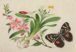 Two Chinese watercolours of flowers and butterflies on rice paper, 4.75