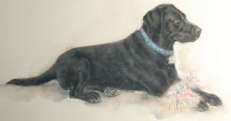 20th Century, 'Buzz', the black lab, watercolour and pastel, inscription verso and dated Feb 2006,