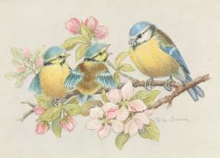 Ella Bruce (20th Century) A Blue Tit with two chicks on a branch with blossom, watercolour, signed