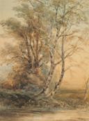 Late 19th Century English School, a study of trees by a river, watercolour, 24