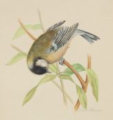 Ella Bruce (20th Century) A bird on a branch, watercolour, signed in pencil, 7.75