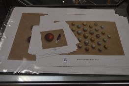 A collection of signed limited edition prints of birds eggs by Tony Ladd.