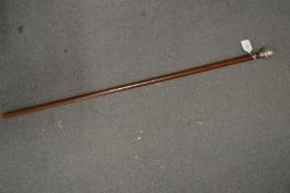 A silver handled walking stick.