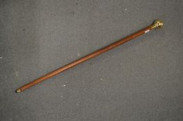 A walking, the brass handle modelled as a globe.