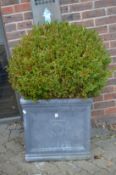 A pair of large faux lead square shaped planters complete with box shrugs.