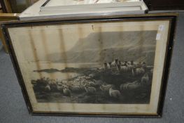 Down to the Ferry, print depicting sheep by a river, black and white print, stained.