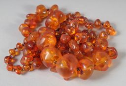 A GOOD GRADUATED AMBER BEAD NECKLACE, 80 beads, 30ins long, with a gold clasp.