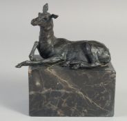 A SMALL BRONZE OF A DEER 5ins long on a marble plinth.