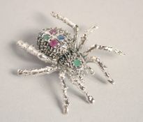 A LARGE SILVER RUBY, SAPPHIRE AND EMERALD SPIDER BROOCH.
